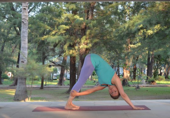 deviyoga-yoga-kurse-reisen-online_012